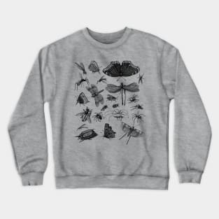 Moth cottagecore, fairycore and goblincore insect moon child Crewneck Sweatshirt